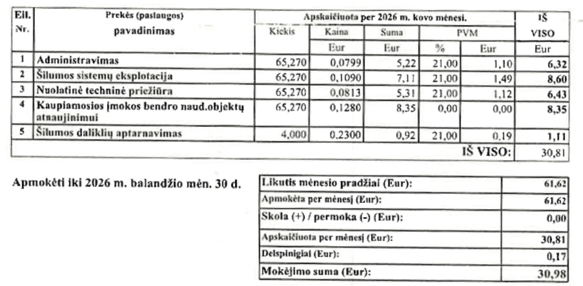 Delspinigiai priskaičiuojami pavėlavus sumokėti, tačiau gyventojai problemą mato kitur – sąskaitoje delspinigiai atsiranda ir sumokėjus paskutinę nurodyto termino dieną.