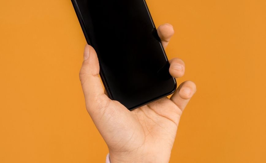 person holding a cellular phone
