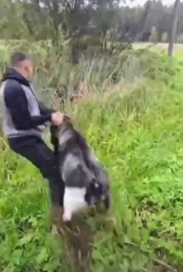 Internete plinta šokiruojantis vaizdo įrašas iš Jurbarko: vyras ožį sviedė į pelkę