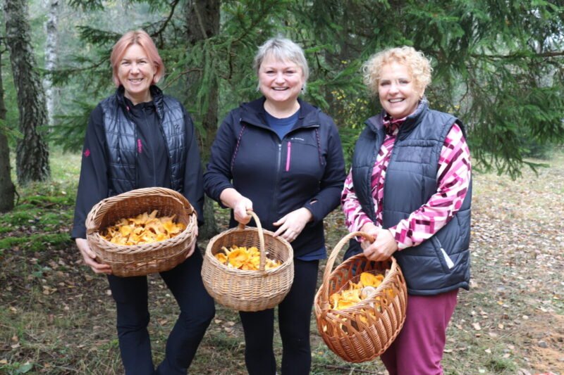 Į Viešvilės miškus sugrįžo Šungrybių festivalis