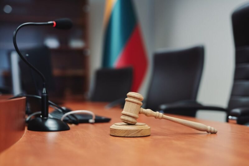 Rado naminukės fabriką