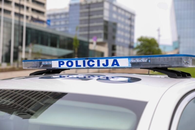 Kelionė su naminuke baigėsi nemalonumais