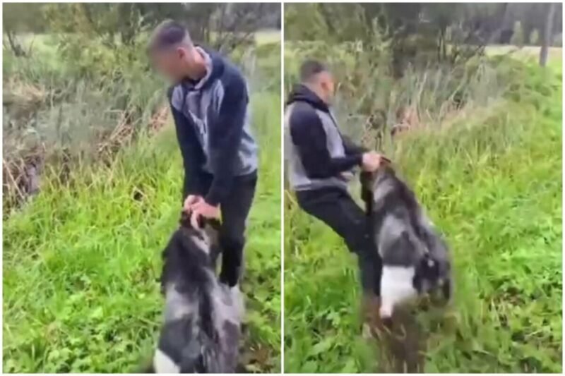 Po šokiruojančio vaizdo įrašo su ožiu  – skaudžios pasekmės jaunam vyrui